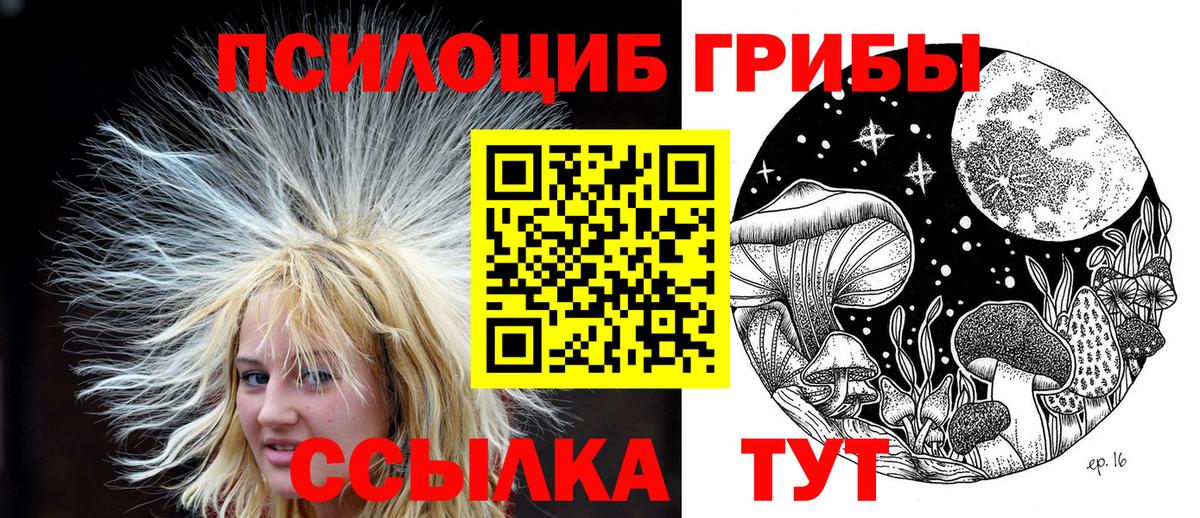 Галлюциногенные грибы Cubensis  Вход с VPN  Скопин 